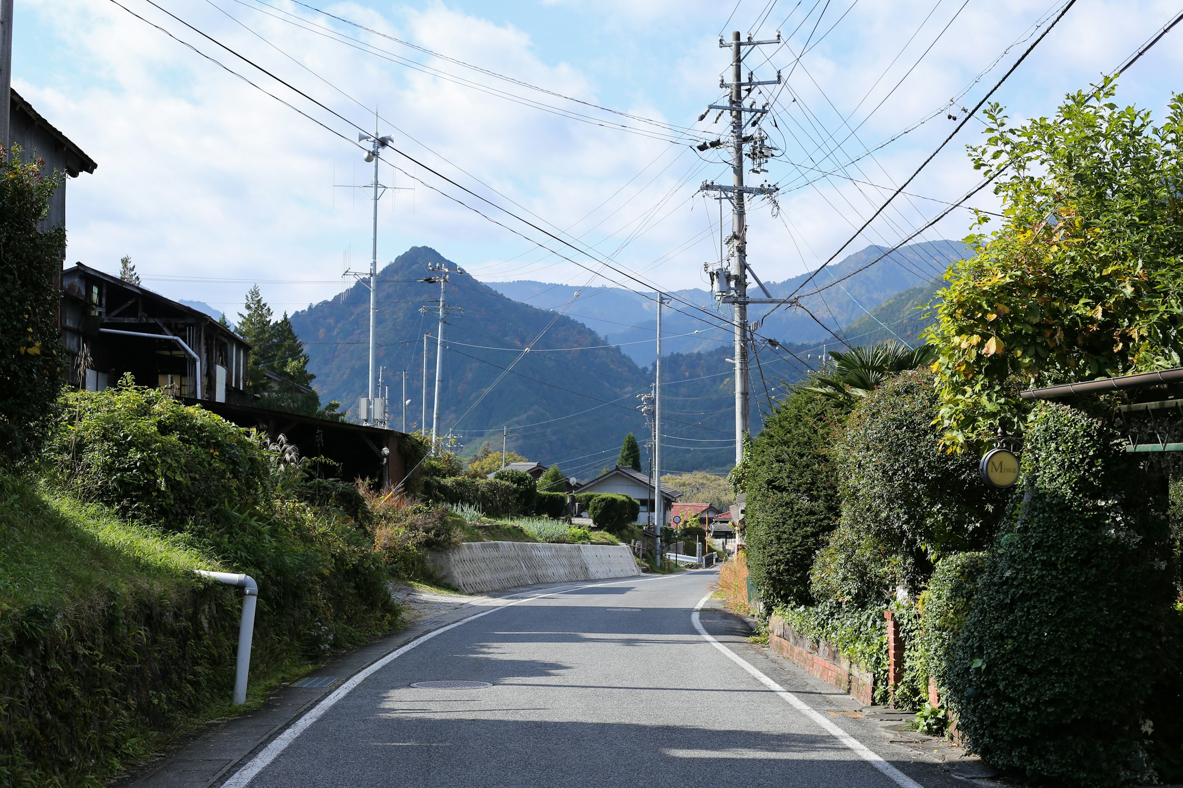 Cover image for Uji's 500,000 Yen Gyokuro Record: What It Means for Cafe Matcha Buyers Next Season